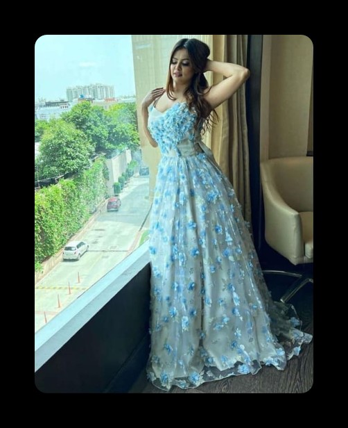 Sky Blue 3D Floral Appliqué Net Gown